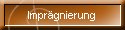 Imprägnierung